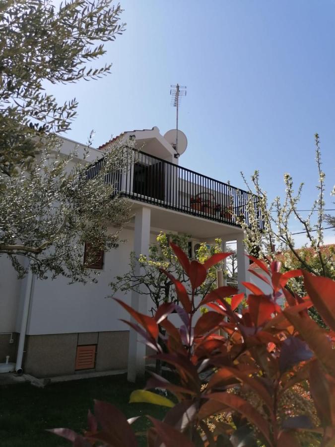 Apartment Magnolia Petrcane Bagian luar foto