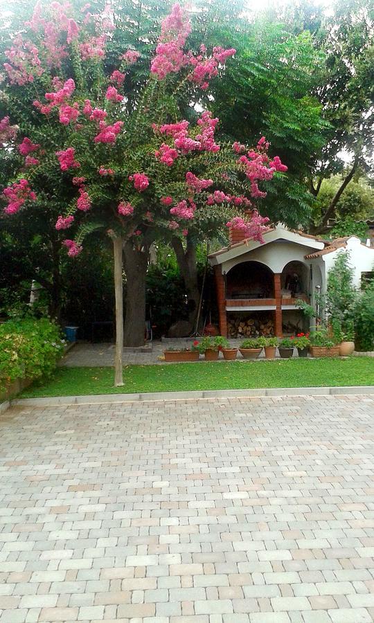Apartment Magnolia Petrcane Bagian luar foto